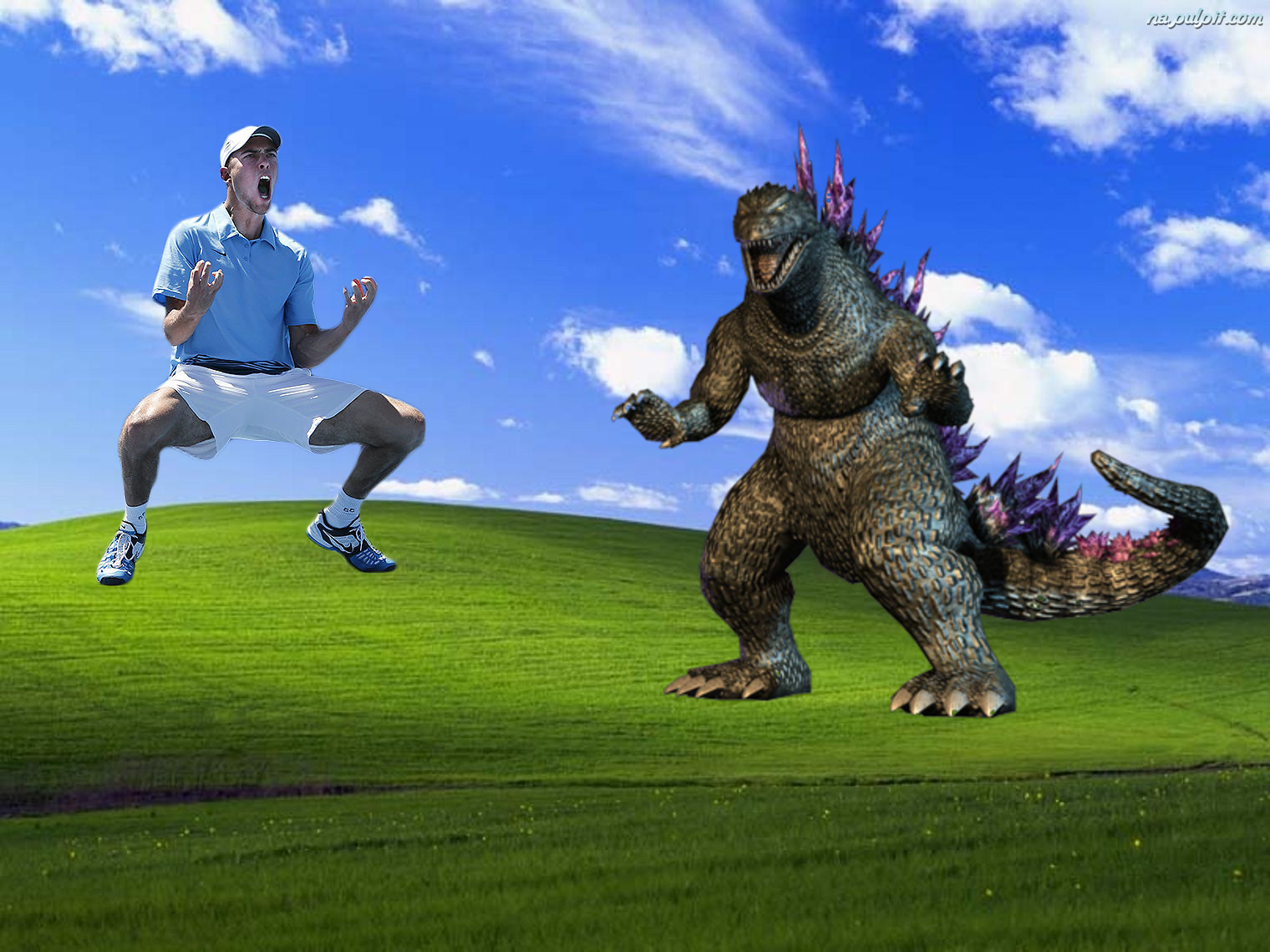 Przeróbki łąki z windowsa - elektroda.pl