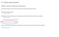 Evaluating WSUS Offline Update Tool: Risks, Benefits, and Major Update Handling