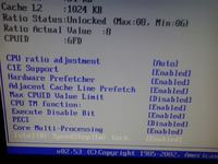 Co poustawiać w BIOSIE żeby wykorzystać procesor w 100% ?