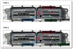 ECU connectors with labeled pins for two types, showing colored function labels.