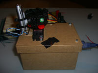 Laserowa zabawa dla psa