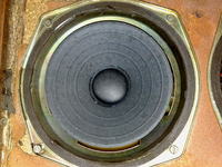 Regeneracja głośników w kolumnach ZGZ-20/4-H5. Co zrobić?