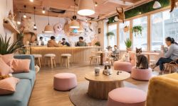Cozy Cat Café Interior Interior of a cozy cat café with pink decor and cats on the furniture.