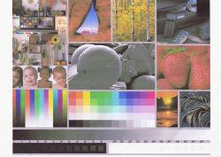 Epson L3050 Printer - Inaccurate Color Printing Issue After 230 Pages Printout Epson L3050 Printer - Inaccurate Color Printing Issue After 230 Pages Printout