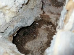 Moisture Issue under Floor & Socket Smell - Help with Door Frame, Skirting Boards & Damp Walls Moisture Issue under Floor & Socket Smell - Help with Door Frame, Skirting Boards & Damp Walls
