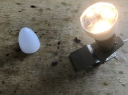 Inteligentna 'żarówka' WOJ14413 WiFi LED CCT - wnętrze, aplikacja, Tasmota