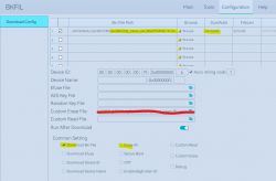 Screenshot of the BKFIL tool showing device flashing configuration.