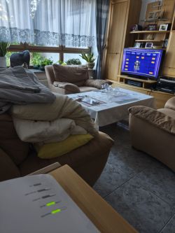 Salon z routerem Fritzbox, fotelem, telewizorem oraz roślinami przy oknie