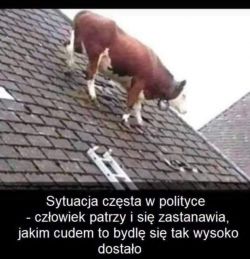 Śmieszne filmiki, obrazki, teksty, audio...