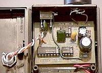 Wykrywacz nietoperzy, czyli jak podsłuchać ultradźwięki