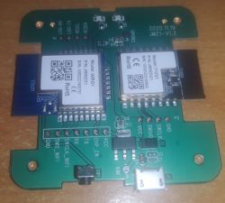 Zigbee gateway JMWZG1 - died during firmawre update from Smart Life app