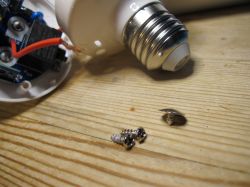 Disassembled LED Bulb on a Wooden Table Disassembled LED bulb with visible internal components on a wooden table.