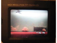 Samsung SCL860 - uszkodzona matryca?