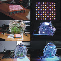 Wydajna lampka dla roślinek