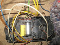 Kolumna alton 70 pytanie laika