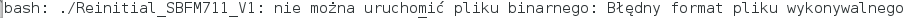 Screenshot with a bash error message about an invalid executable file format.