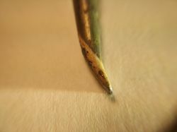 TS-30 Soldering Paste - genialny środek do regeneracji grotów - made in... Japan