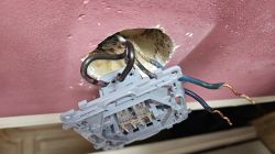 Przewody elektryczne wystające ze ściany prowadzą do rozebranego gniazda włącznika światła; widoczne są przewody niebieskie i czarne.