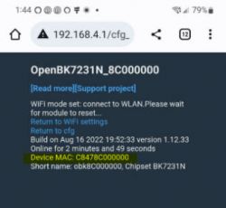 I flashed my switch that has a BK7231N chip on it,. Now what?
