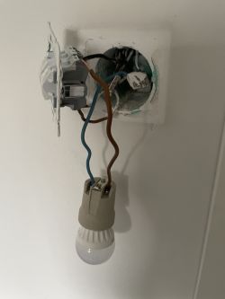 Connection of the QS-Zigbee-D02-TRIAC-2C-LN switch to the ceiling lamp and the Home Assistant