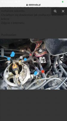 Jak podłączyć przewody w monowtrysku 1.1 SPI w Seicento?