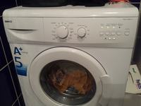 Beko WML15106 PL P - Pralka nie reaguje tylko świecą się kontrolki