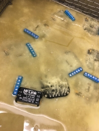ERKO-SOCKET ESP8266 - sterownik 2-kanałowy WI-FI ERKO-SOCKET ESP8266 - sterownik 2-kanałowy WI-FI