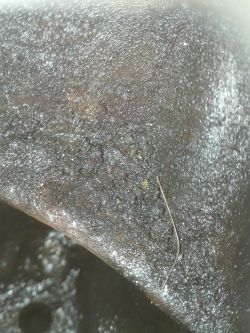 Jak ustawić rozrząd w Renault Megane II 1.9 dci bez odkręcania śruby?