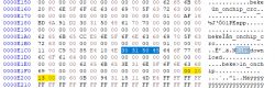 Fragment of a screenshot from a hexadecimal editor displaying binary and text data.