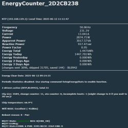 Screenshot of an EnergyCounter monitoring panel displaying detailed electricity usage data.
