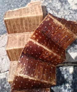 Harmonijka z wyciętego filtra Filtron, pokryta brudem.