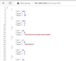 Screenshot of JSON with dpID data