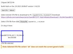 Uploaded OTA file is OpenBK7231N_ALT_1.18.244.rbl; a mismatch warning appears regarding the variant.