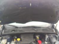 Dacia Dokker - Co mogło uszkodzić izolację silnika? Szkodniki czy elementy auta?