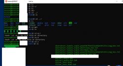 Viewing Files on W Drive in WSL Terminal WSL terminal window on Windows displaying directory structure and filenames on mounted W drive with visible commands and text files.