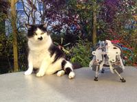 Czworonożny robot sterowany przez tablet + symulator