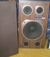 IDETYFIKACJA KOLUMNY CO to za kolumna??