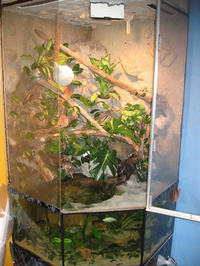 Zautomatyzowana komora dla roślin