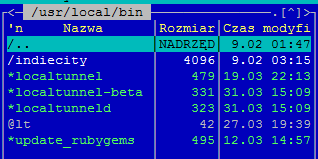 Udostępnianie localhost - Localtunnel od shtylman.com