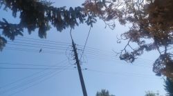 Słup energetyczny z przewodami napowietrznymi, widok z dołu na tle nieba i gałęzi drzew