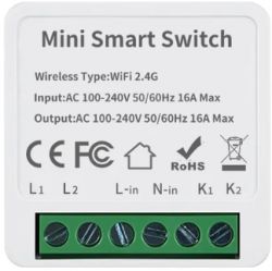Mini Smart Switch with WiFi 2.4G The image shows a Mini Smart Switch device with power input and output labels on the casing.