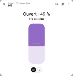 Home Assistant UI screenshot showing a shutter slider labeled “Ouvert: 49%”