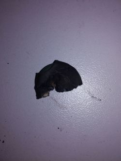 Prostownik Black Decker 10 - Nie pracuje wentylator nie ładuje