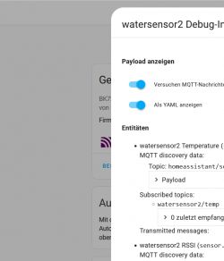 View of water sensor temperature details in Home Assistant.