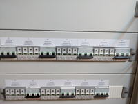 Examples of LV Switchgear Descriptions: Circuit, RCD, Letter Codes (F, Q) & Photo Insights