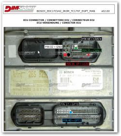 ECU connectors with labeled pins and functions indicating ground, power, CAN, and GPT locations.