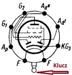 Schemat wyprowadzeń lampy elektronowej EBL z oznaczeniem klucza.