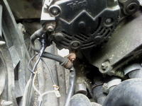 Schemat instalacji elektrycznej VW Passat 1.9 TDI 1994 - przewody alternatora