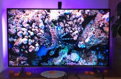TV with active LED backlight and orange calibration blocks on the surface