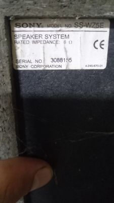 Etykieta głośnika Sony z modelem SS-WZ5E i impedancją 6 Ω.